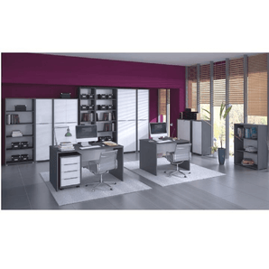 Dulap biblioraft, grafit, RIOMA NEW TYP 03