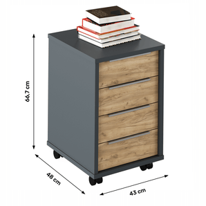 Container, grafit/stejar artisan, RIOMA NEW TYP 14